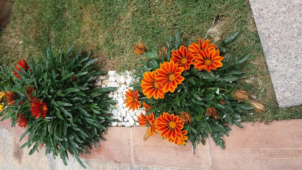 Hotel Sa Cralla Villasimius Dış mekan fotoğraf